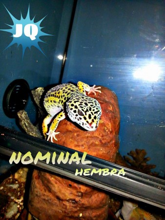 0.1 Nominal